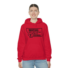 Load image into Gallery viewer, Unisex Heavy Blend™ Hooded Sweatshirt