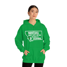 Load image into Gallery viewer, Unisex Heavy Blend™ Hooded Sweatshirt