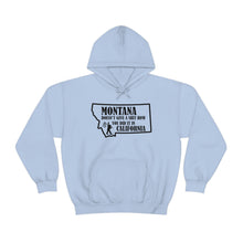 Load image into Gallery viewer, Unisex Heavy Blend™ Hooded Sweatshirt