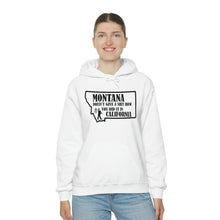 Load image into Gallery viewer, Unisex Heavy Blend™ Hooded Sweatshirt