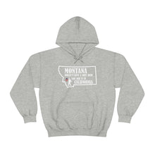 Load image into Gallery viewer, Unisex Heavy Blend™ Hooded Sweatshirt