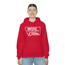Load image into Gallery viewer, Unisex Heavy Blend™ Hooded Sweatshirt