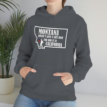 Load image into Gallery viewer, Unisex Heavy Blend™ Hooded Sweatshirt